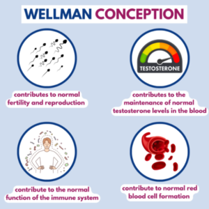 Vitabiotics Wellman Conception 30 Tablets